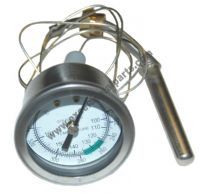 Gauge;Thermometer - Pelton & Crane® Magnaclave